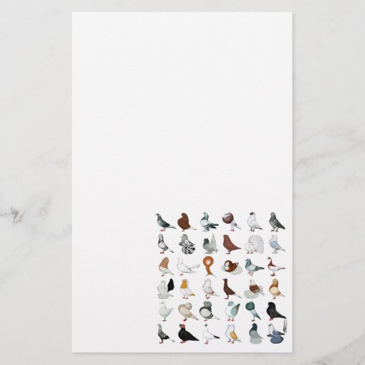36 Taube Briefpapier (Vorderseite)