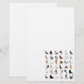 36 Taube Briefpapier (Vorne/Hinten)