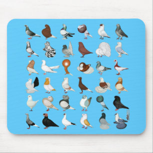 36 Taube Mousepad