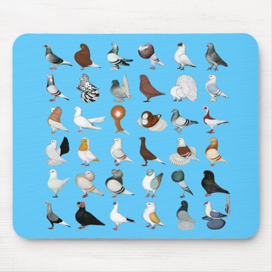 36 Taube Mousepad (Vorne)