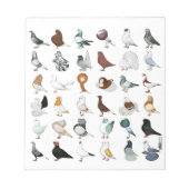 36 Taube Notizblock (Vorderseite)