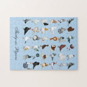 36 Taube Puzzle (Horizontal)