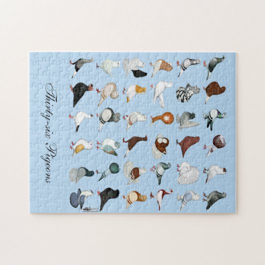 36 Taube Puzzle (Horizontal)