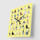 36 Taube Quadratische Wanduhr (Winkel)