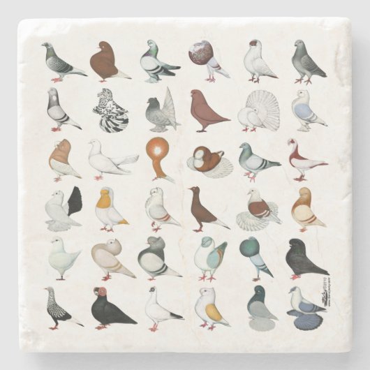 36 Taube Steinuntersetzer (Vorderseite)