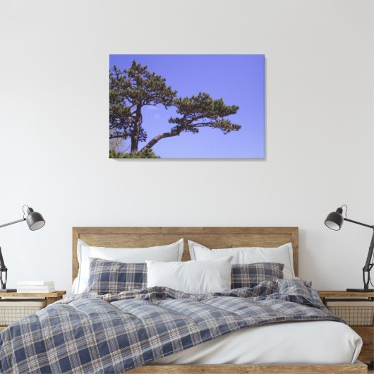 36"x24" Kiefernbaum Leinwanddruck (Insitu (Schlafzimmer))
