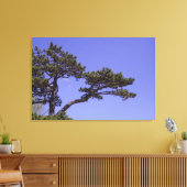 36"x24" Kiefernbaum Leinwanddruck (Insitu (Wohnzimmer))