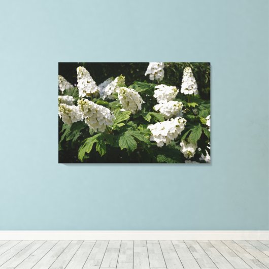 36"x24" Oakleaf Hydrangea Leinwanddruck (Insitu (Holzboden))