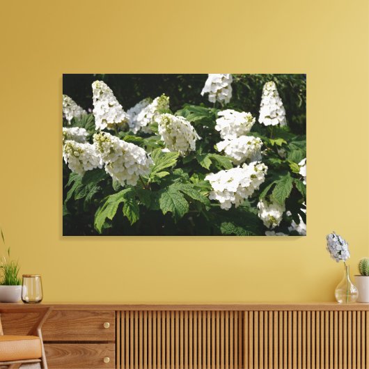 36"x24" Oakleaf Hydrangea Leinwanddruck (Insitu (Wohnzimmer))