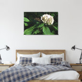 36"x24" Panicle Hydrangea Leinwanddruck (Insitu (Schlafzimmer))