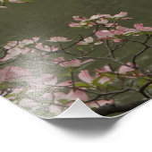 36"x24" Rosa Dogwood Fotodruck (Ecke)