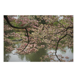 36"x24" Rosa Dogwood Fotodruck