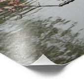 36"x24" Rosa Dogwood Fotodruck (Ecke)