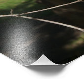 36"x24" Rosa Dogwood Fotodruck (Ecke)