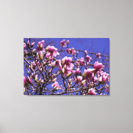 36"x24" Rosa Magnolia Leinwanddruck