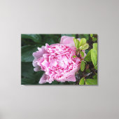 36"x24" Rosa Peony Leinwanddruck (Vorderseite)