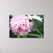 36"x24" Rosa Peony Leinwanddruck (Vorderseite)