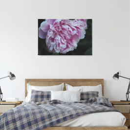 36"x24" Rosa Pfingstrose Leinwanddruck