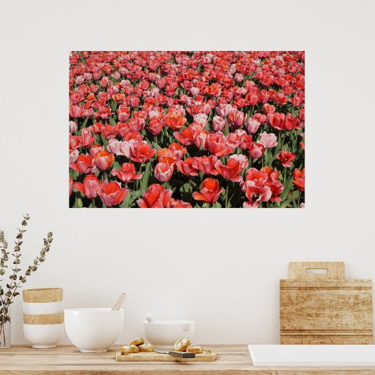 36"x24" Rote Tulips Poster (Küche)