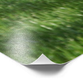 36"x24" Rotknospe Fotodruck (Ecke)