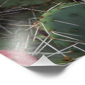 36"x24" Spitzenpear Fotodruck (Ecke)