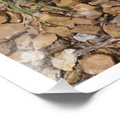 36"x24" Sukkulente Fotodruck (Ecke)