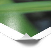 36"x24" Taglilien Fotodruck (Ecke)