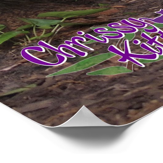 36" x 24" Chrissy Kätzchen Hexe im Wald Poster (Ecke)