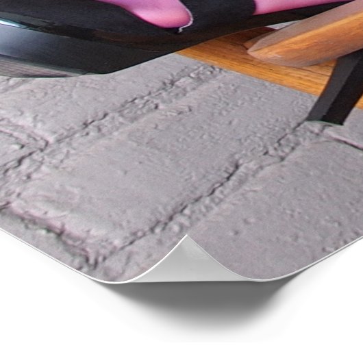 36" x 24"Chrissy Kitten Harley Q Poster (Ecke)