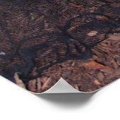 36" x 24" Chrissy Kittens by the Log Poster (Ecke)