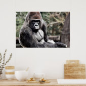 36 X 24 GORILLA PREMIUM LEINWAND GLOSS POSTER (Küche)