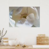 36" x 24" Magnolia-Poster, Wert mattes Poster (Küche)