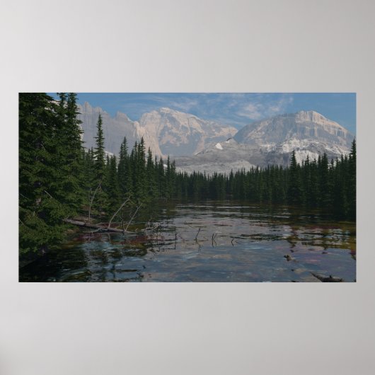 36" x 24" Papierplakat mit "Boreal Stream"-Bild Poster (Vorne)