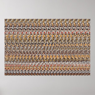 36" x 24" "Welpen spielen" 3D Magic Eye® Poster