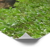 36x12 Plakatpapier (Matte) aus Elch Poster (Ecke)