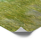 36x12 Plakatpapier (Matte) aus Grizzlybär Poster (Ecke)