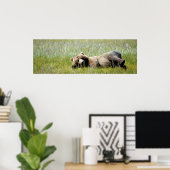 36x12 Plakatpapier (Matte) aus Grizzlybär Poster (Heimbüro)