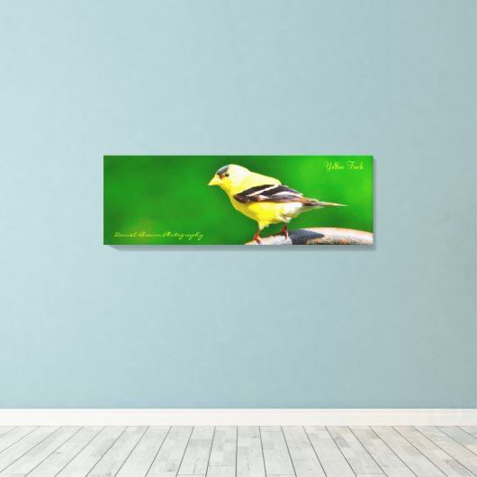 36x12x1,5 überzogene Canvas-Foto Gelbe Finch Leinwanddruck (Insitu (Holzboden))