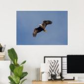 36x24 Bald-Adler im Flug Poster (Heimbüro)