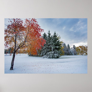 36x24-Wall-Poster Poster