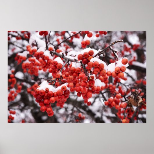 36x24-Wall-Poster Poster (Vorne)