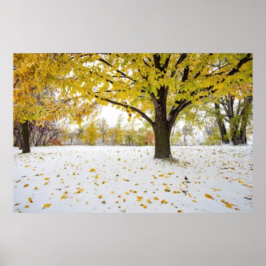 36x24-Wall-Poster Poster (Vorne)