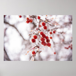 36x24-Wall-Poster Poster