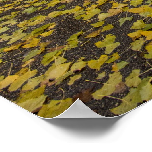 36x24-Wall-Poster Poster (Ecke)