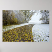 36x24-Wall-Poster Poster (Vorne)