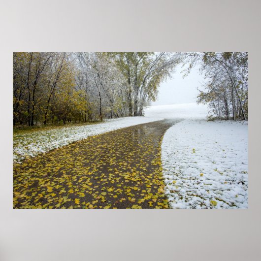 36x24-Wall-Poster Poster (Vorne)