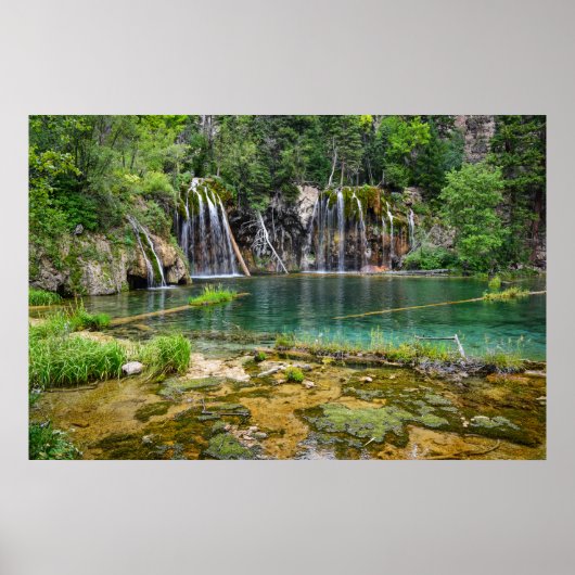 36x24-Wall-Poster Poster (Vorne)