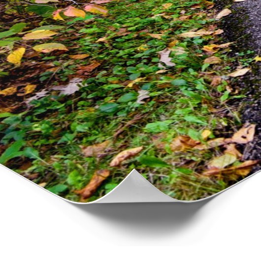 36x24-Wall-Poster Poster (Ecke)