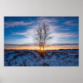 36x24-Wall-Poster Poster (Vorne)