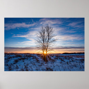 36x24-Wall-Poster Poster